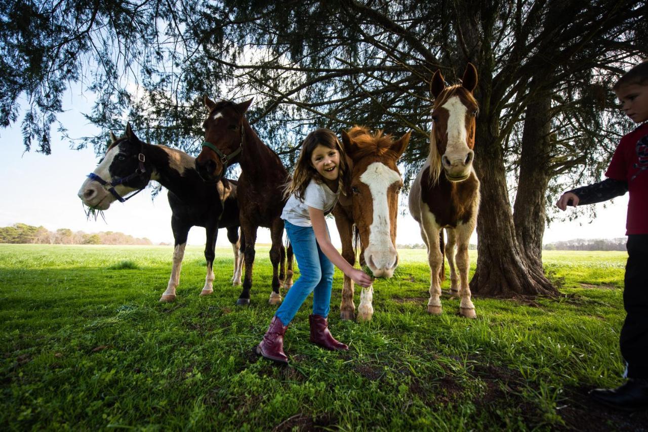 Southern Cross Guest Ranch Madison Luaran gambar